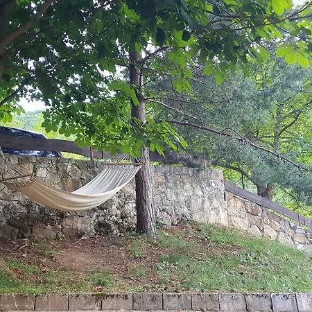 - Stari Javor *
