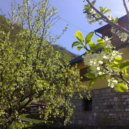 Apartment - Stari Javor Prozor